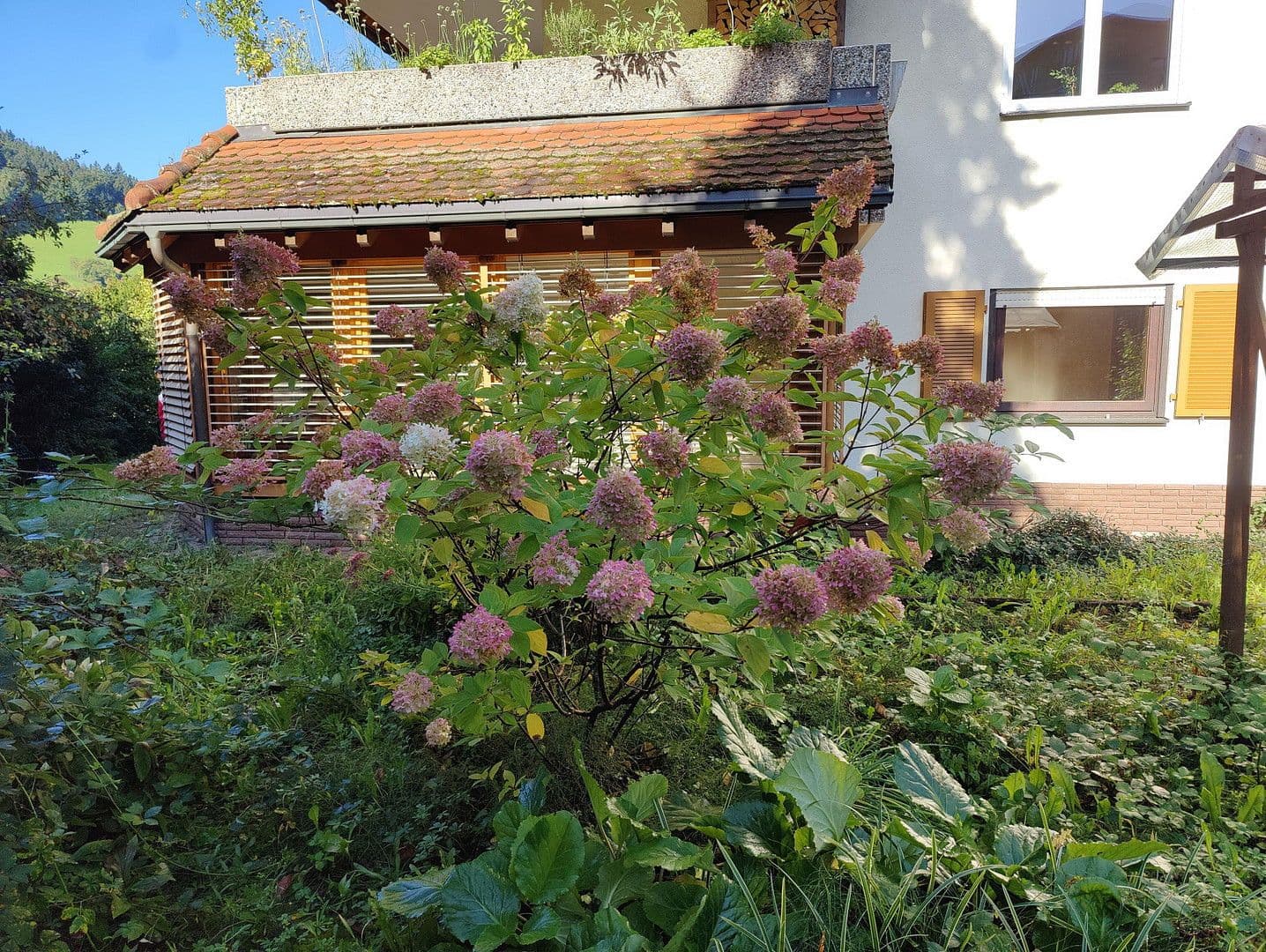 Prodej bytu 4+kk 152 m², Waldkirch, Bádensko-Württembersko Prodej bytu 4+kk 152 m², Waldkirch, Bádensko-Württembersko