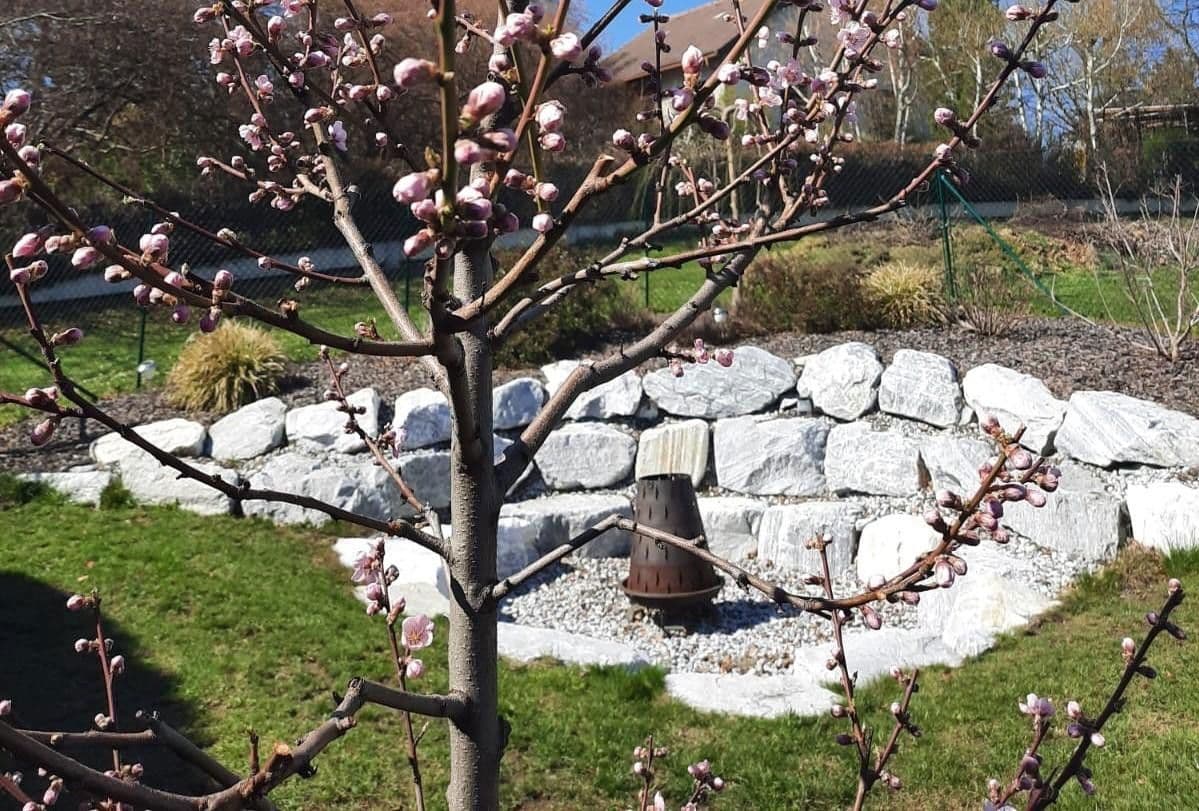 Pronájem domu 216 m², pozemek 600 m², Mittelberg 69, Mittelberg, Dolní Rakousko Pronájem domu 216 m², pozemek 600 m², Mittelberg 69, Mittelberg, Dolní Rakousko