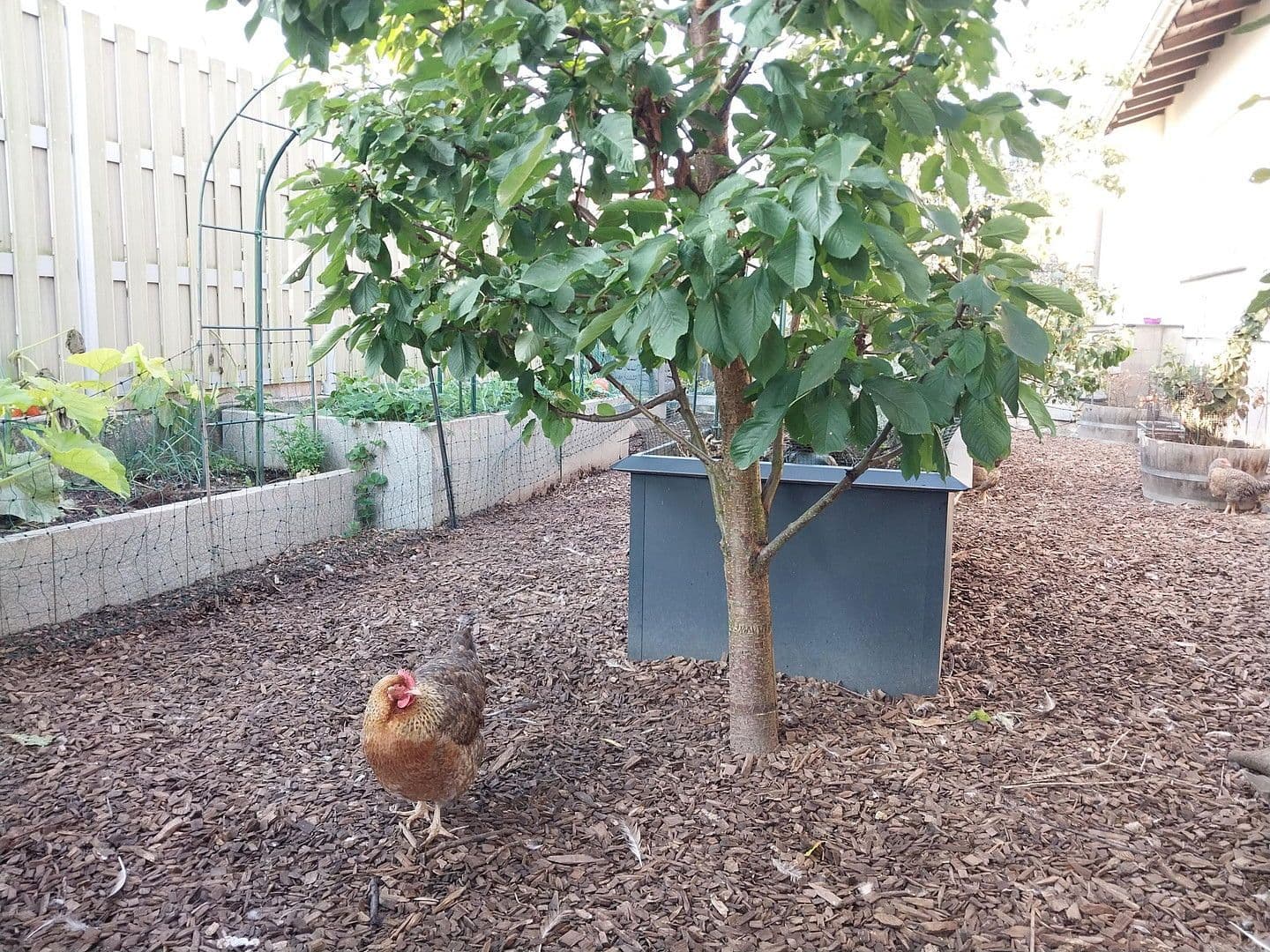 Prodej domu 120 m², pozemek 657 m², Hettenleidelheim, Porýní-Falc Prodej domu 120 m², pozemek 657 m², Hettenleidelheim, Porýní-Falc