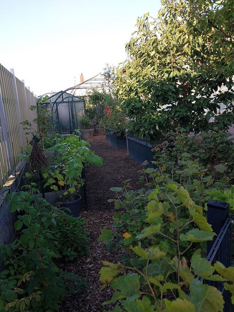 Prodej domu 120 m², pozemek 657 m², Hettenleidelheim, Porýní-Falc Prodej domu 120 m², pozemek 657 m², Hettenleidelheim, Porýní-Falc