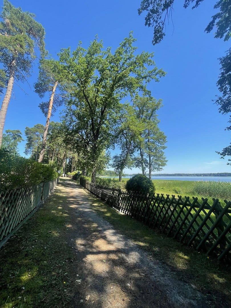 Pronájem bytu 3+1 100 m², Friedrich-Engels-Damm 83, Bad Saarow, Braniborsko Pronájem bytu 3+1 100 m², Friedrich-Engels-Damm 83, Bad Saarow, Braniborsko