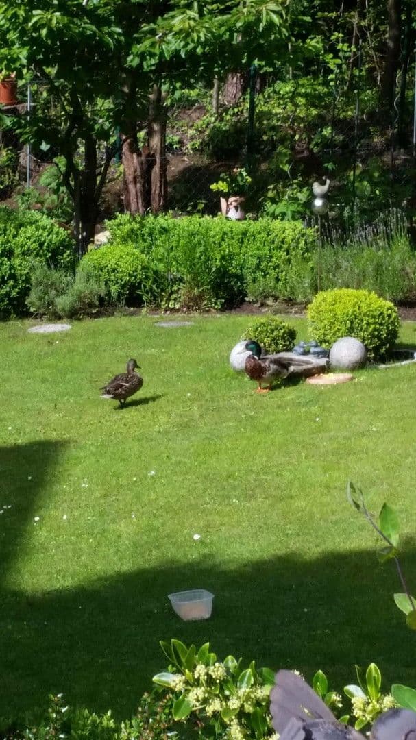 Pronájem domu 200 m², pozemek 1.100 m², Zirndorf, Bavorsko Pronájem domu 200 m², pozemek 1.100 m², Zirndorf, Bavorsko