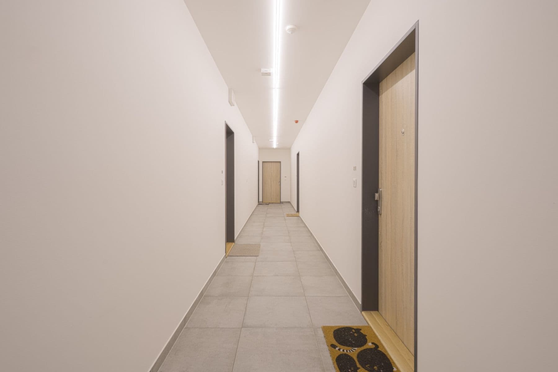 Pronájem bytu 2+kk 50 m², Univerzitní, Praha, Praha Pronájem bytu 2+kk 50 m², Univerzitní, Praha, Praha