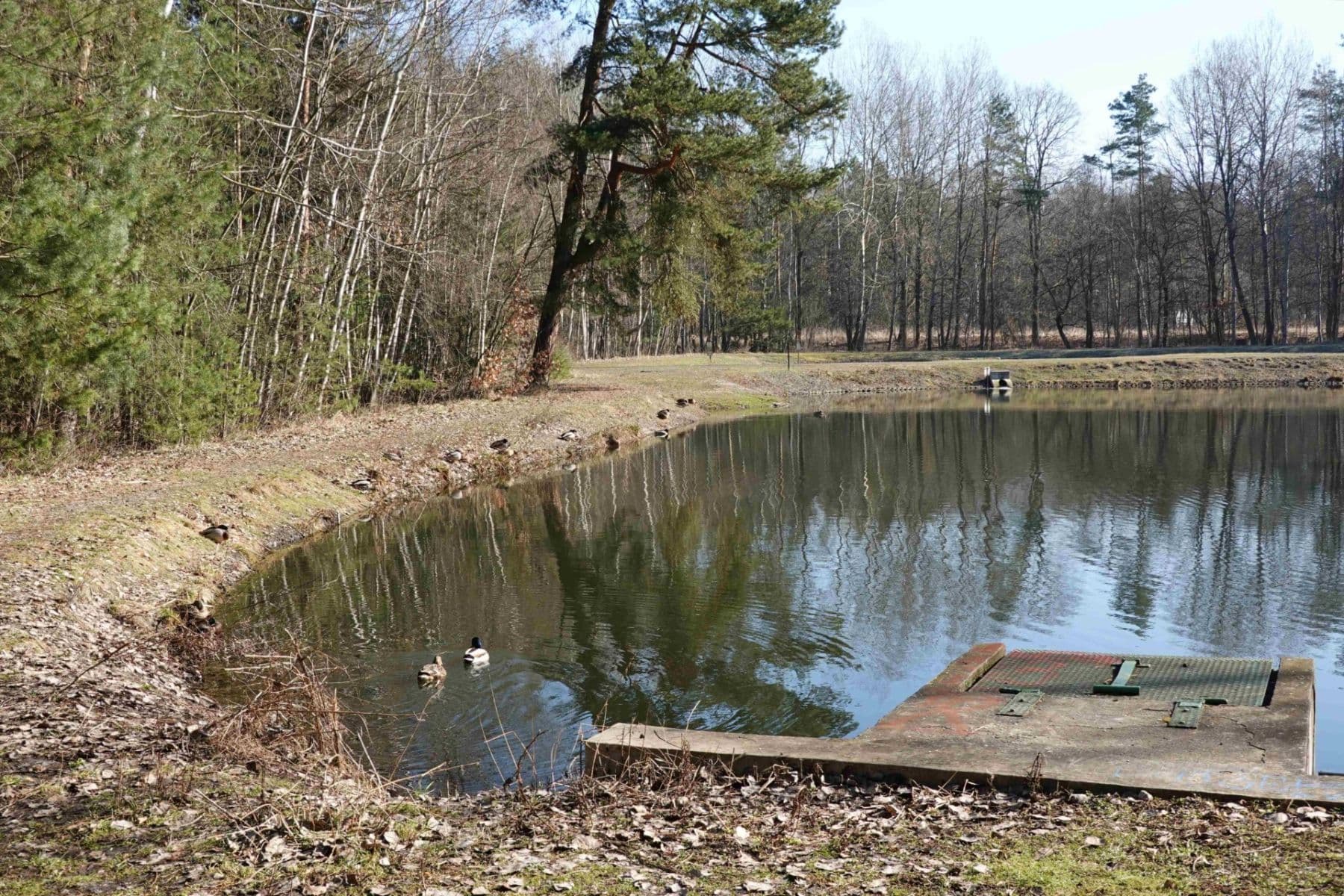 Pronájem domu 125 m², pozemek 300 m², Čenovická, Praha, Praha Pronájem domu 125 m², pozemek 300 m², Čenovická, Praha, Praha