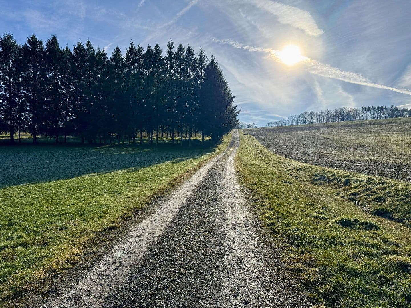 Prodej domu 150 m², pozemek 700 m², Buchen (Odenwald), Bádensko-Württembersko Prodej domu 150 m², pozemek 700 m², Buchen (Odenwald), Bádensko-Württembersko