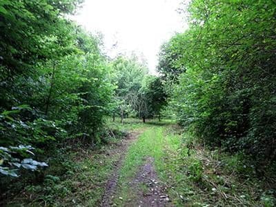 Prodej pozemku 8.326 m², Wiesengrund, Waldesch, Porýní-Falc Prodej pozemku 8.326 m², Wiesengrund, Waldesch, Porýní-Falc