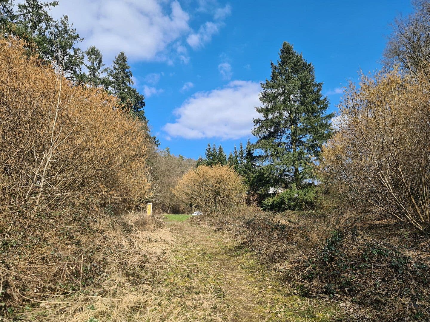 Prodej pozemku 8.326 m², Wiesengrund, Waldesch, Porýní-Falc Prodej pozemku 8.326 m², Wiesengrund, Waldesch, Porýní-Falc