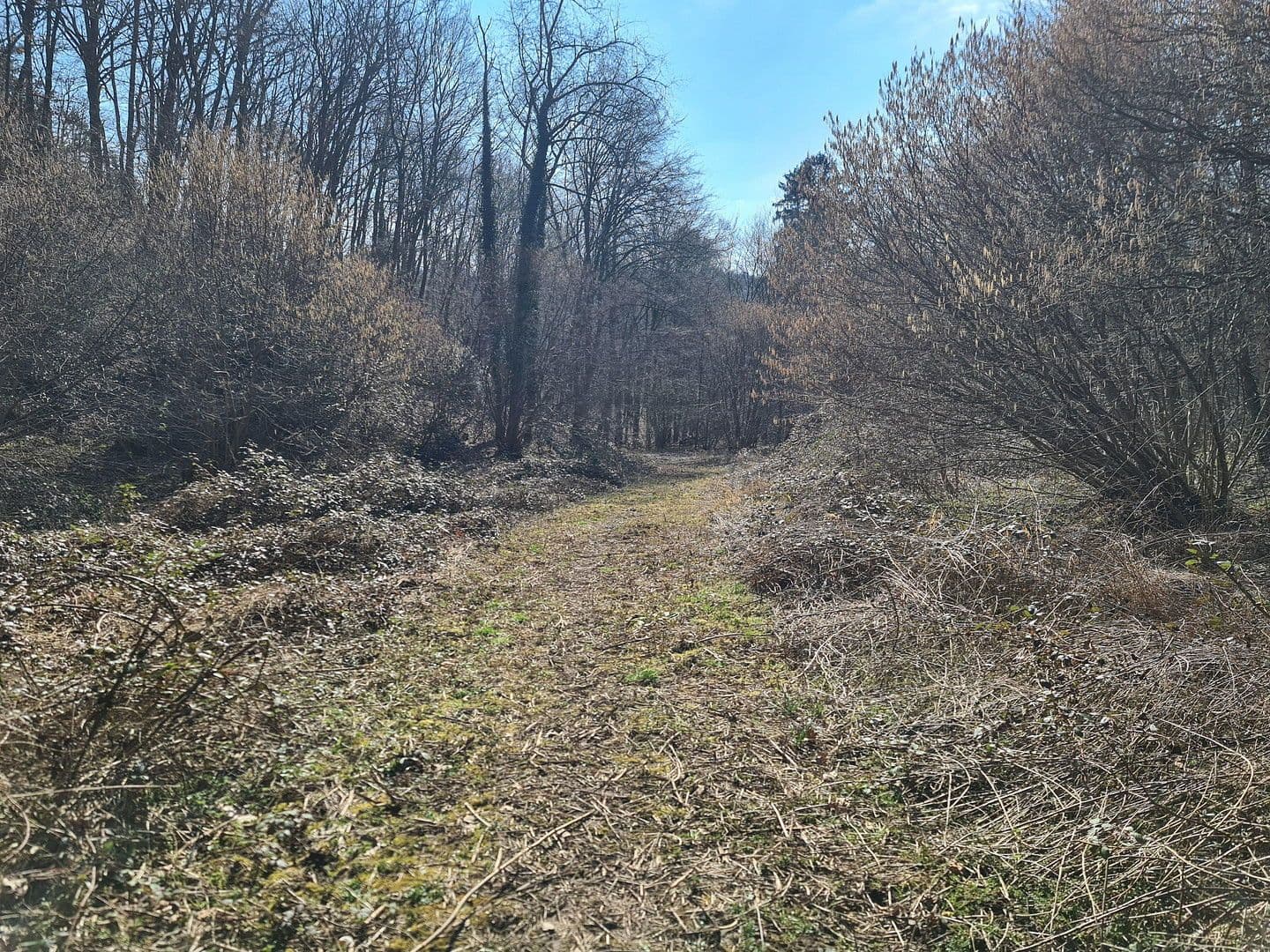 Prodej pozemku 8.326 m², Wiesengrund, Waldesch, Porýní-Falc Prodej pozemku 8.326 m², Wiesengrund, Waldesch, Porýní-Falc