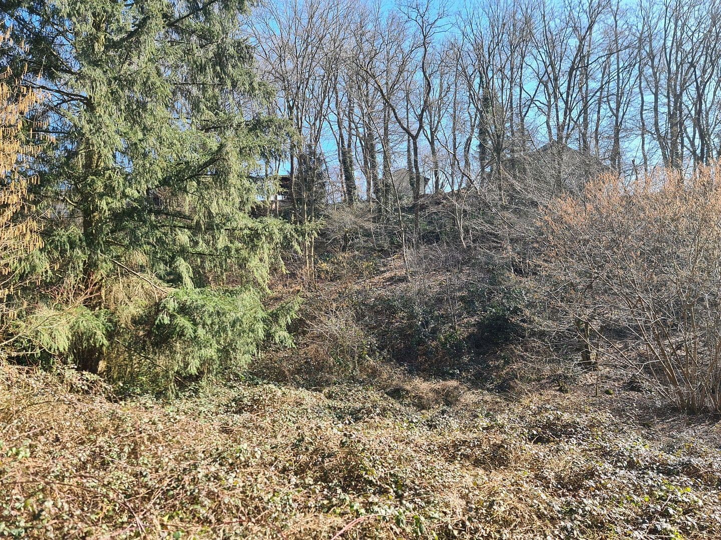 Prodej pozemku 8.326 m², Wiesengrund, Waldesch, Porýní-Falc Prodej pozemku 8.326 m², Wiesengrund, Waldesch, Porýní-Falc