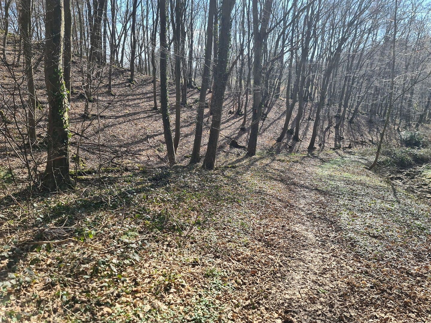 Prodej pozemku 8.326 m², Wiesengrund, Waldesch, Porýní-Falc Prodej pozemku 8.326 m², Wiesengrund, Waldesch, Porýní-Falc