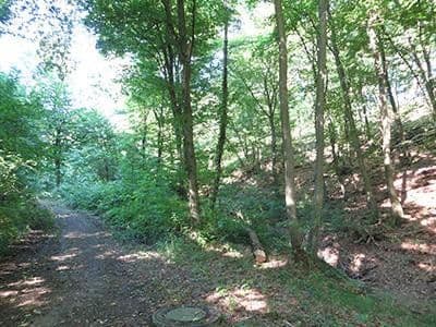 Prodej pozemku 8.326 m², Wiesengrund, Waldesch, Porýní-Falc Prodej pozemku 8.326 m², Wiesengrund, Waldesch, Porýní-Falc