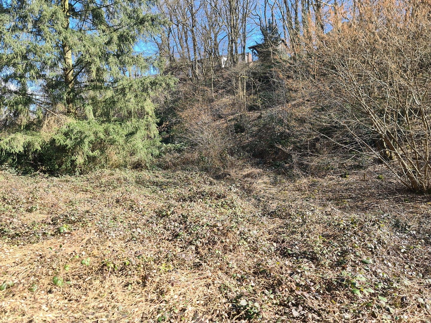 Prodej pozemku 8.326 m², Wiesengrund, Waldesch, Porýní-Falc Prodej pozemku 8.326 m², Wiesengrund, Waldesch, Porýní-Falc