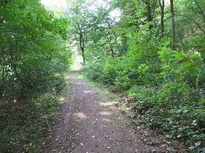 Prodej pozemku 8.326 m², Wiesengrund, Waldesch, Porýní-Falc Prodej pozemku 8.326 m², Wiesengrund, Waldesch, Porýní-Falc