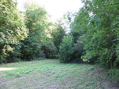 Prodej pozemku 8.326 m², Wiesengrund, Waldesch, Porýní-Falc Prodej pozemku 8.326 m², Wiesengrund, Waldesch, Porýní-Falc