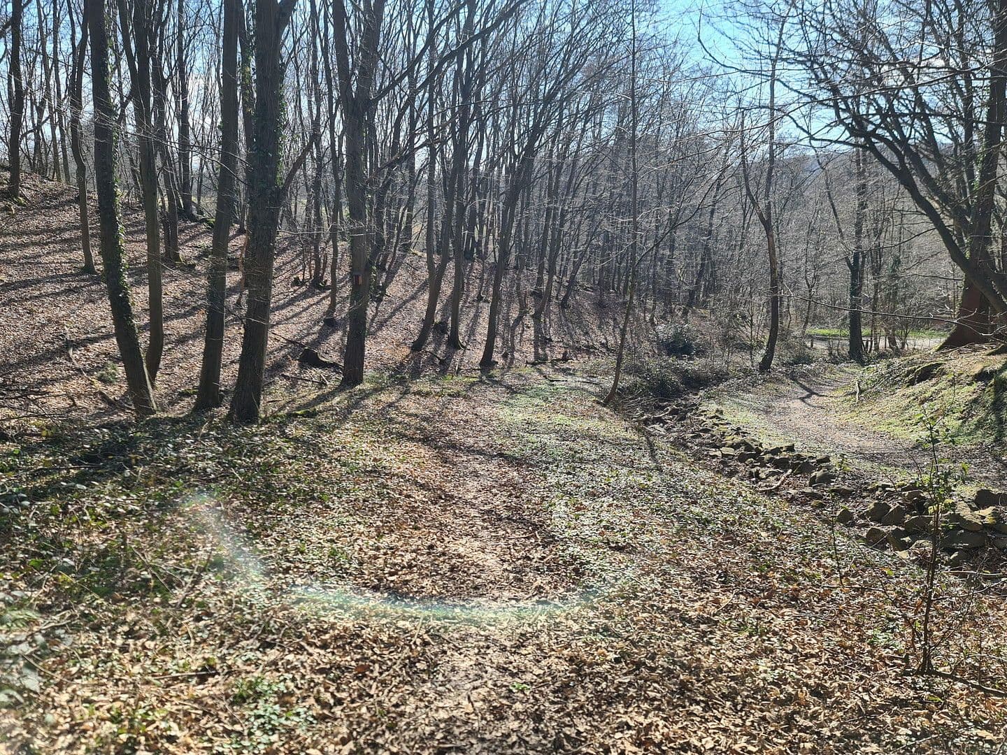 Prodej pozemku 8.326 m², Wiesengrund, Waldesch, Porýní-Falc Prodej pozemku 8.326 m², Wiesengrund, Waldesch, Porýní-Falc