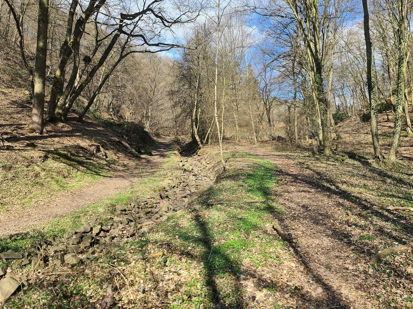 Prodej pozemku 8.326 m², Wiesengrund, Waldesch, Porýní-Falc Prodej pozemku 8.326 m², Wiesengrund, Waldesch, Porýní-Falc