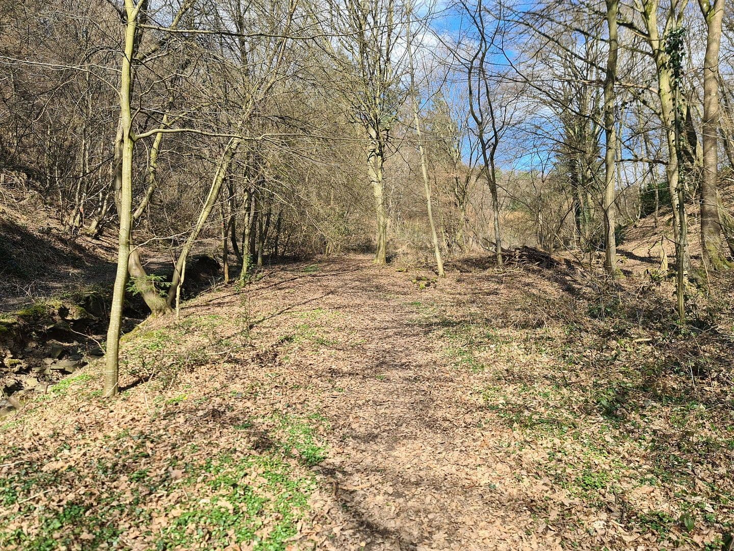 Prodej pozemku 8.326 m², Wiesengrund, Waldesch, Porýní-Falc Prodej pozemku 8.326 m², Wiesengrund, Waldesch, Porýní-Falc