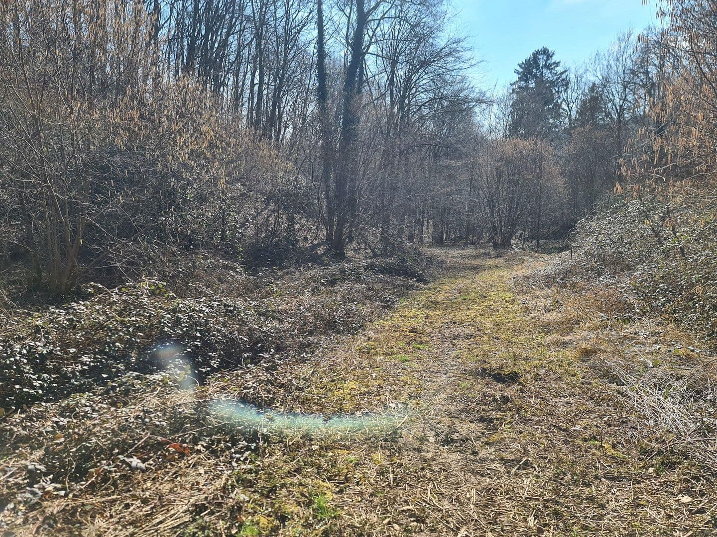 Prodej pozemku 8.326 m², Wiesengrund, Waldesch, Porýní-Falc Prodej pozemku 8.326 m², Wiesengrund, Waldesch, Porýní-Falc