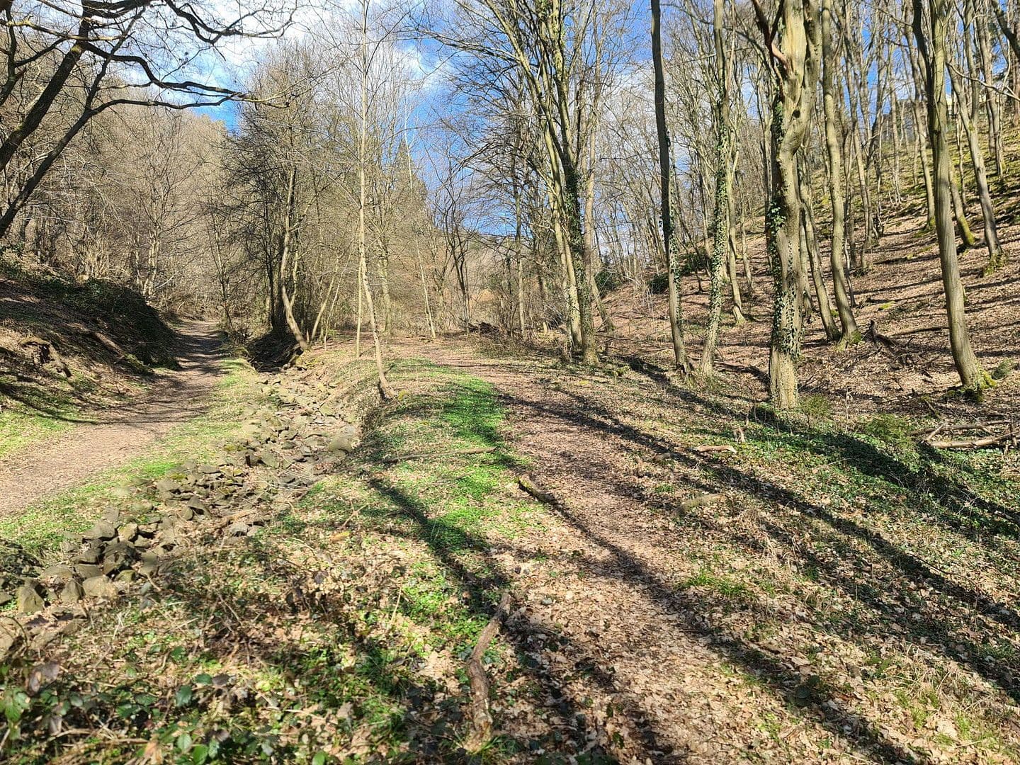 Prodej pozemku 8.326 m², Wiesengrund, Waldesch, Porýní-Falc Prodej pozemku 8.326 m², Wiesengrund, Waldesch, Porýní-Falc