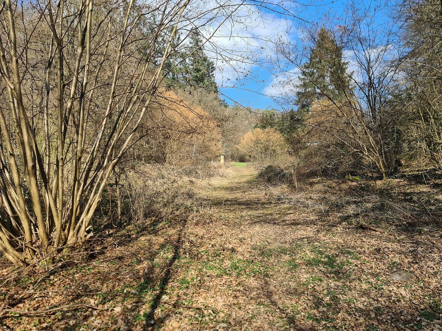 Prodej pozemku 8.326 m², Wiesengrund, Waldesch, Porýní-Falc Prodej pozemku 8.326 m², Wiesengrund, Waldesch, Porýní-Falc