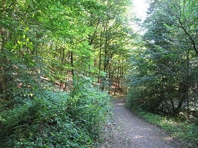 Prodej pozemku 8.326 m², Wiesengrund, Waldesch, Porýní-Falc Prodej pozemku 8.326 m², Wiesengrund, Waldesch, Porýní-Falc