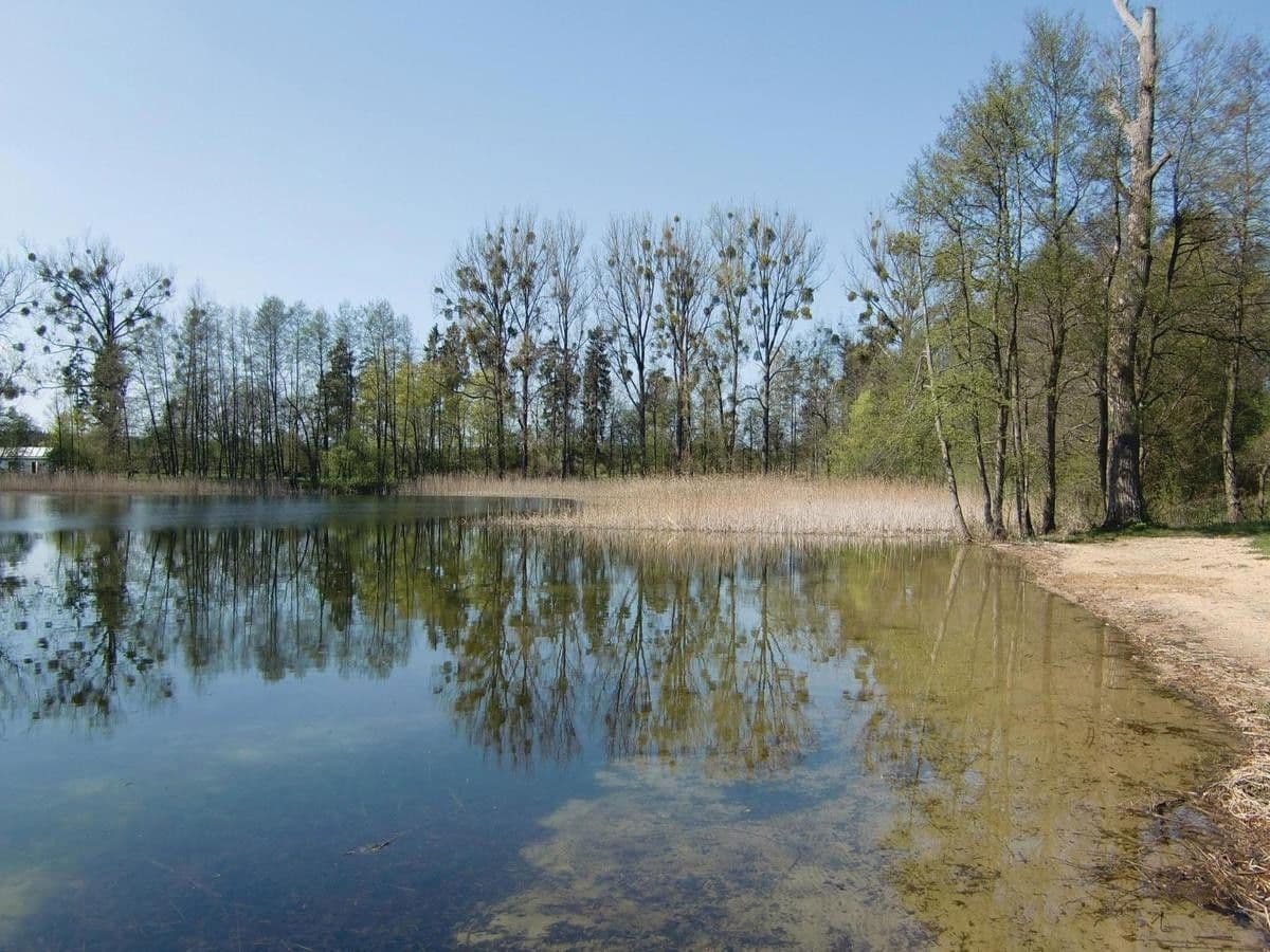 Prodej nebytového prostoru 50.000 m², Klocksin, Mecklenburg-Vorpommern Prodej nebytového prostoru 50.000 m², Klocksin, Mecklenburg-Vorpommern