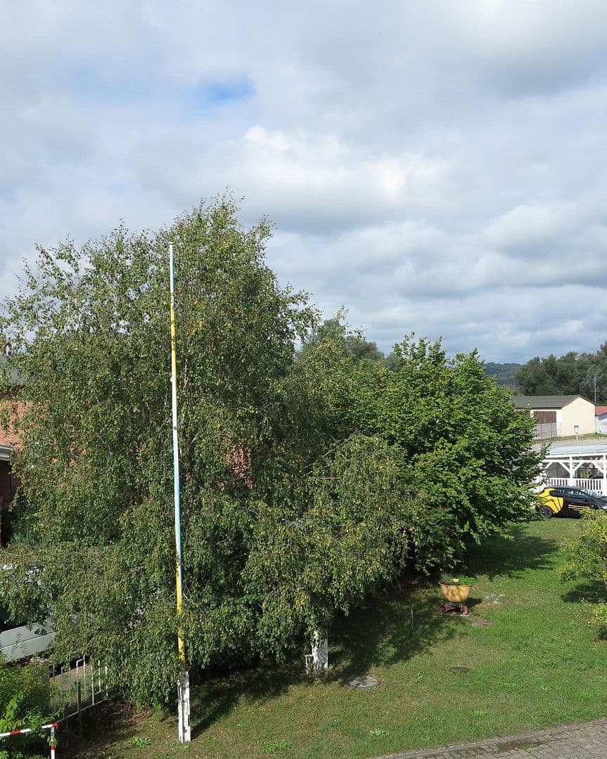 Prodej domu 6.000 m², pozemek 6.000 m², Malchin, Mecklenburg-Vorpommern Prodej domu 6.000 m², pozemek 6.000 m², Malchin, Mecklenburg-Vorpommern