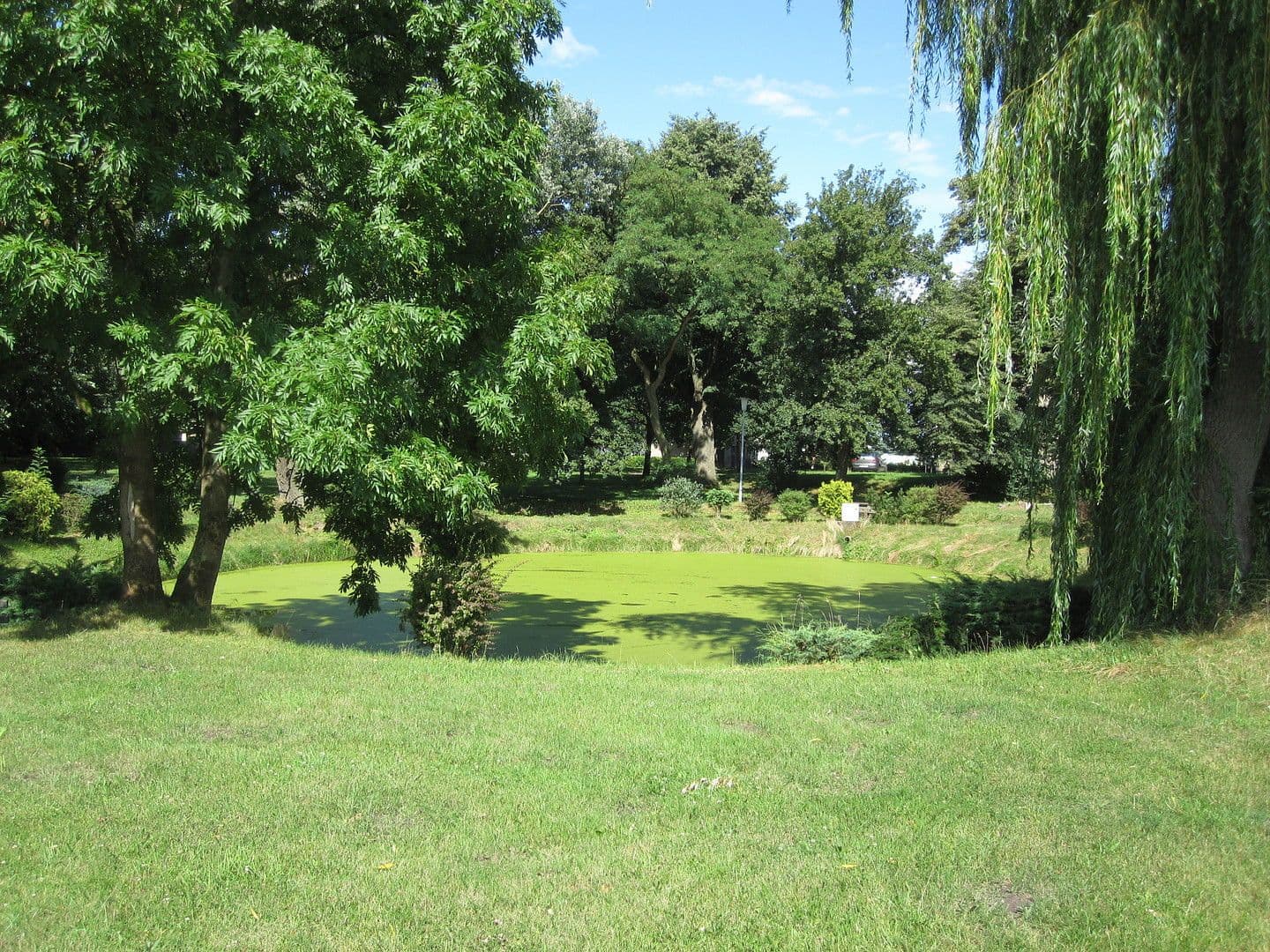 Prodej domu 3.600 m², pozemek 8.126 m², Zettemin, Mecklenburg-Vorpommern Prodej domu 3.600 m², pozemek 8.126 m², Zettemin, Mecklenburg-Vorpommern