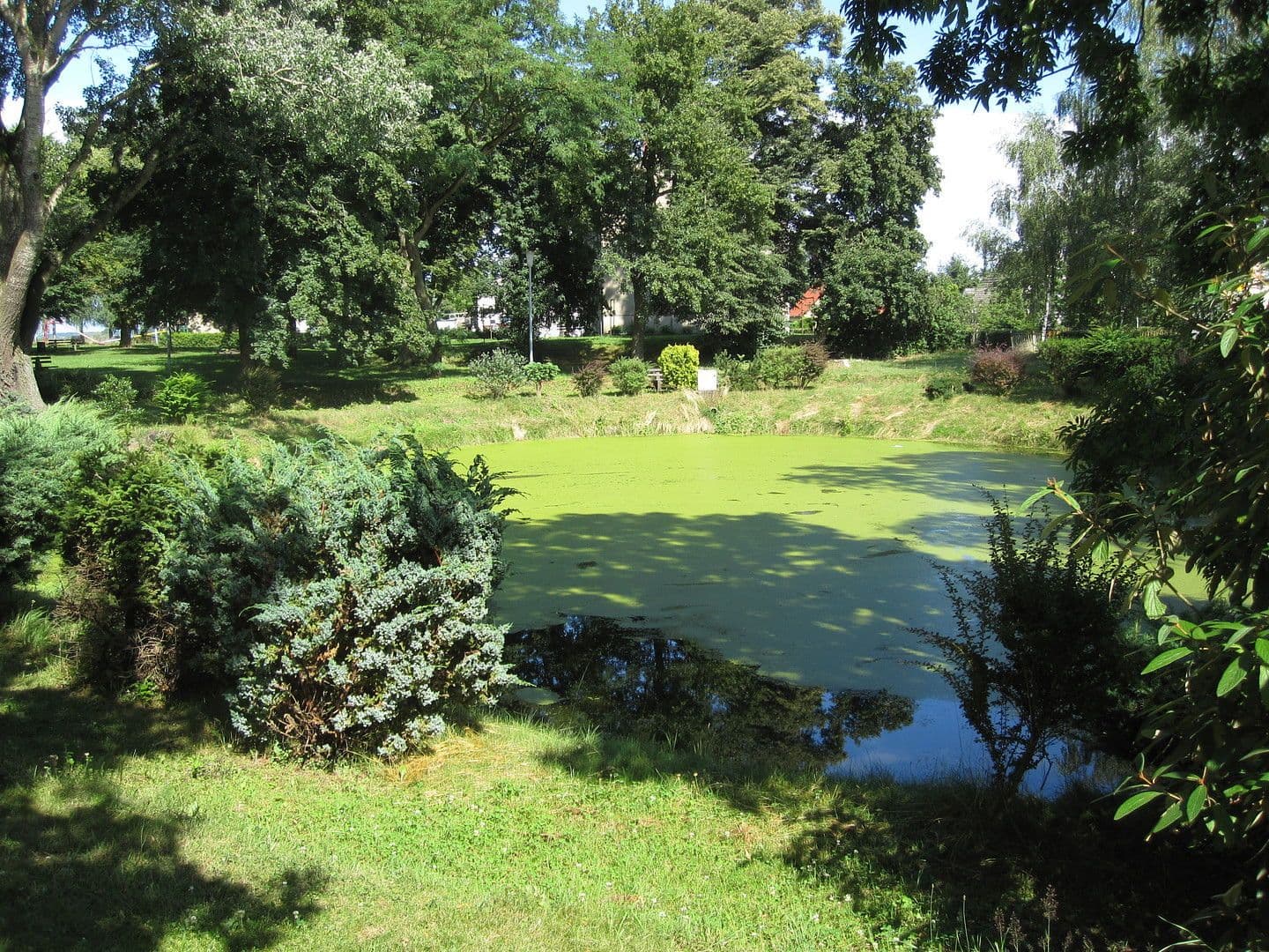 Prodej domu 3.600 m², pozemek 8.126 m², Zettemin, Mecklenburg-Vorpommern Prodej domu 3.600 m², pozemek 8.126 m², Zettemin, Mecklenburg-Vorpommern