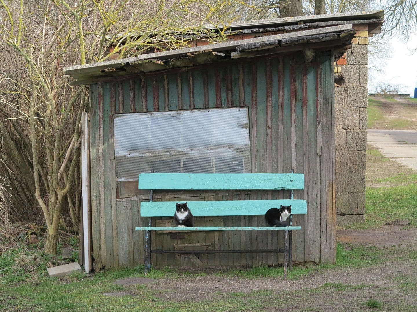 Prodej domu 3.600 m², pozemek 8.126 m², Zettemin, Mecklenburg-Vorpommern Prodej domu 3.600 m², pozemek 8.126 m², Zettemin, Mecklenburg-Vorpommern