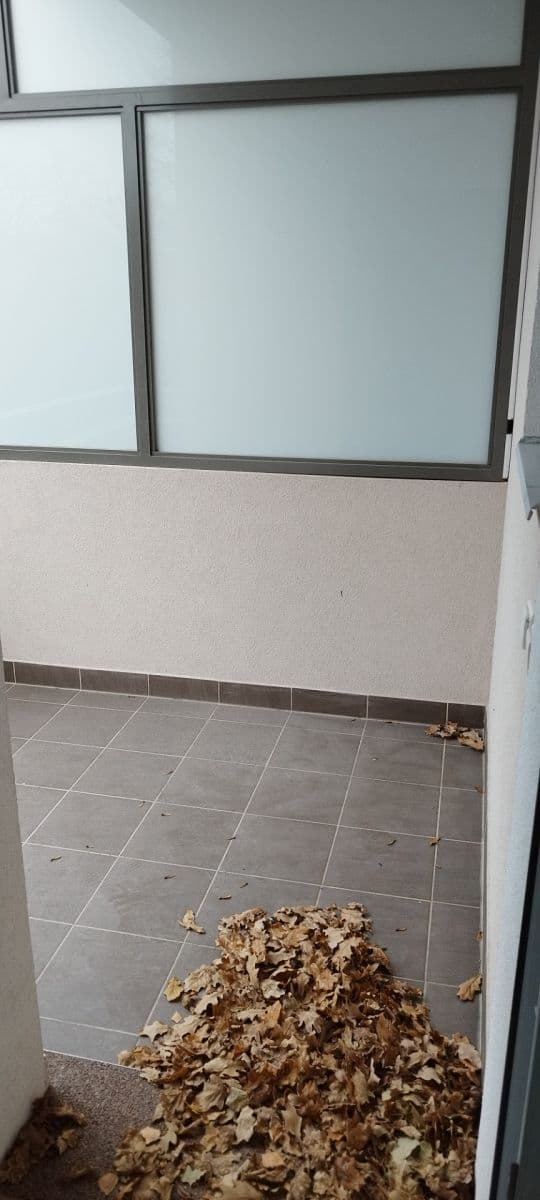 Pronájem bytu 2+1 67 m², Obora, Vlašim, Středočeský kraj Pronájem bytu 2+1 67 m², Obora, Vlašim, Středočeský kraj