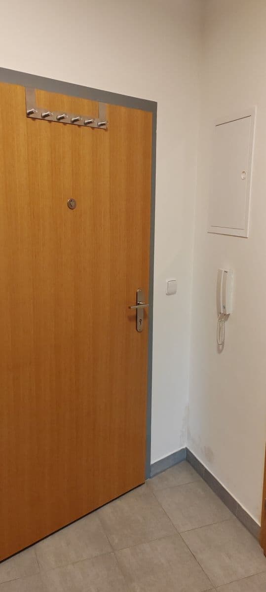 Pronájem bytu 1+kk 42 m², Družstevní ochoz, Praha, Praha Pronájem bytu 1+kk 42 m², Družstevní ochoz, Praha, Praha