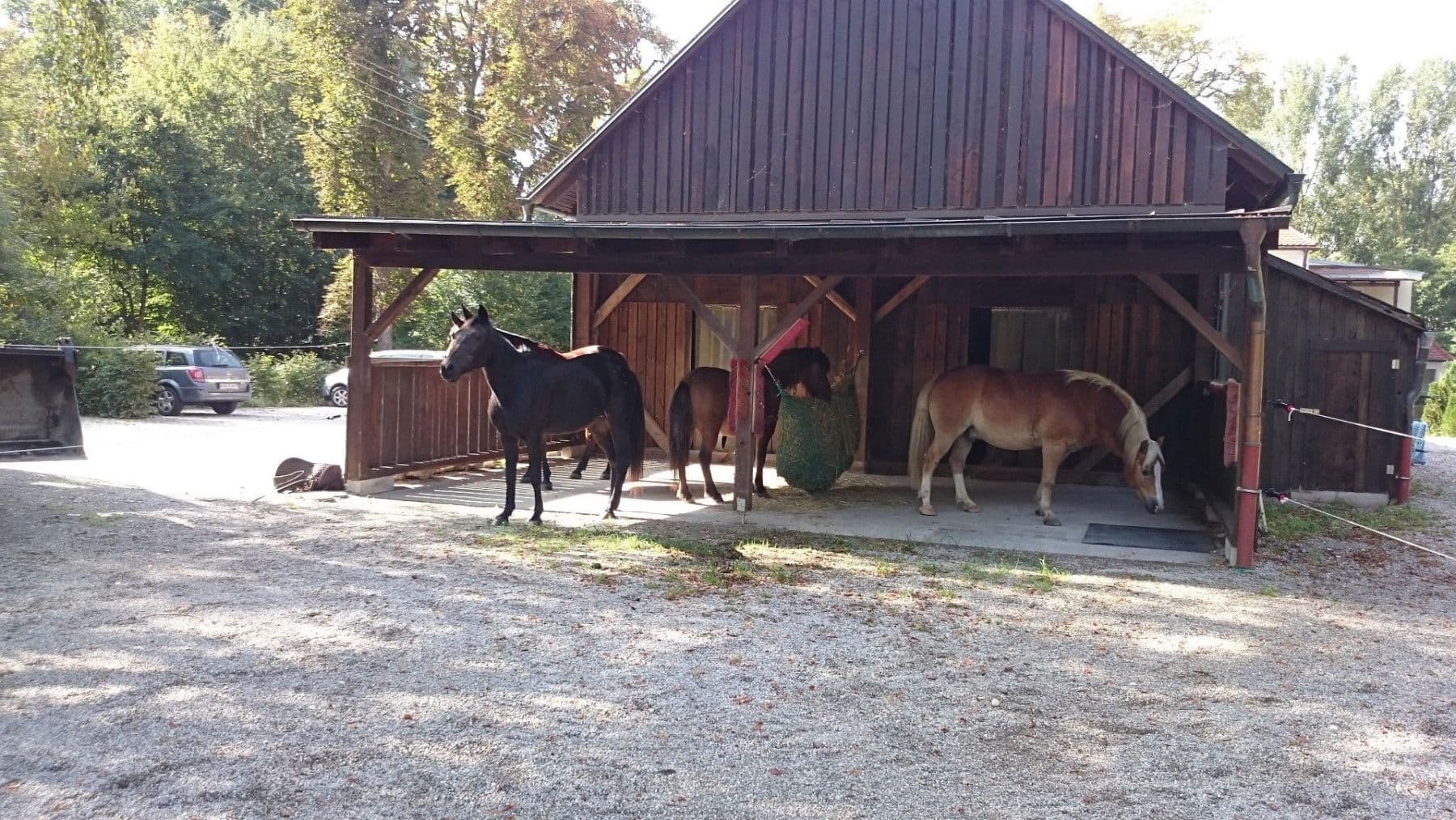 Prodej domu 480 m², pozemek 6.939 m², Egenhofen, Bavorsko Prodej domu 480 m², pozemek 6.939 m², Egenhofen, Bavorsko