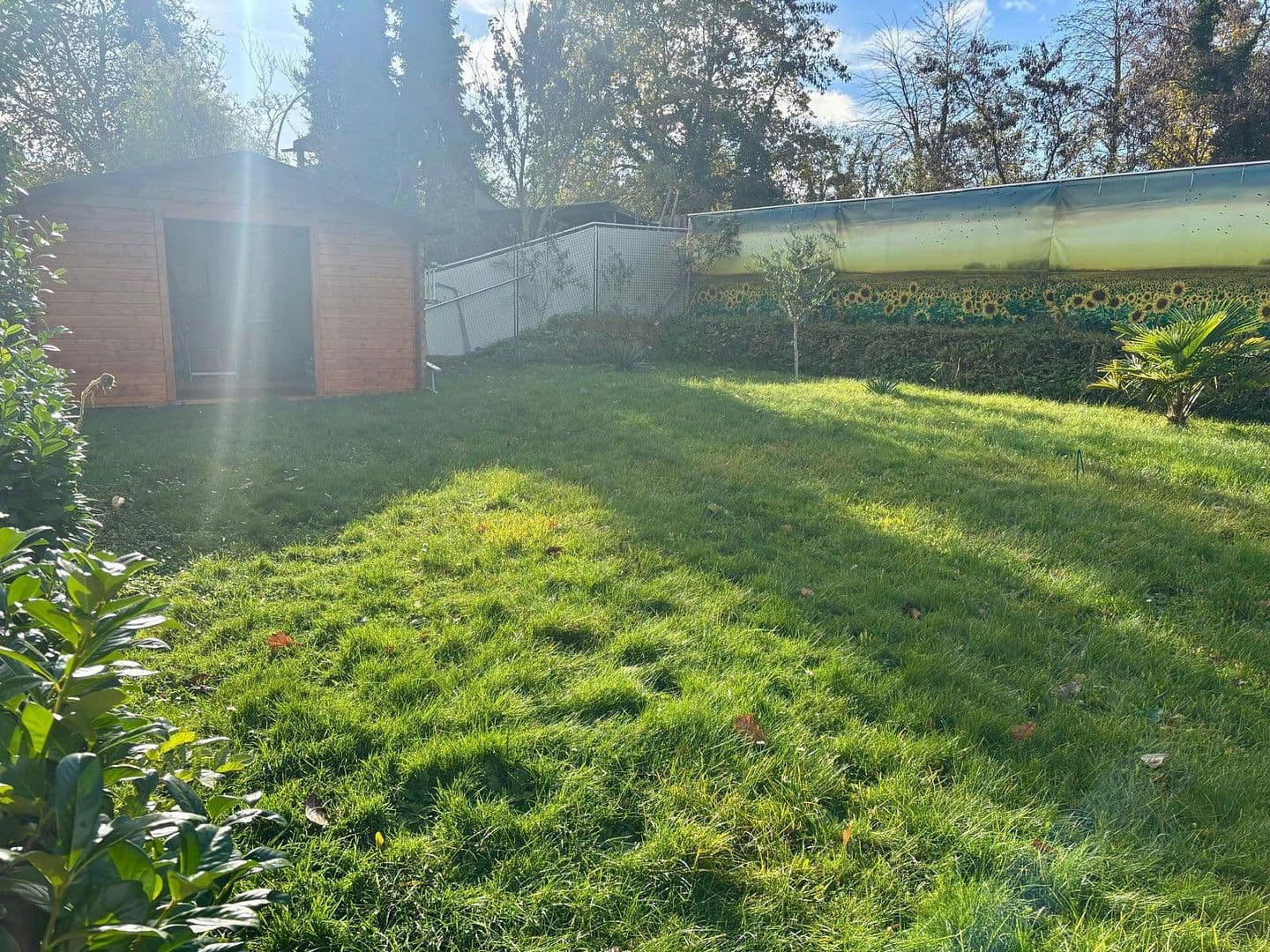 Prodej domu 142 m², pozemek 685 m², Hermann-Hesse-Straße 11, Linkenheim-Hochstetten, Bádensko-Württembersko Prodej domu 142 m², pozemek 685 m², Hermann-Hesse-Straße 11, Linkenheim-Hochstetten, Bádensko-Württembersko