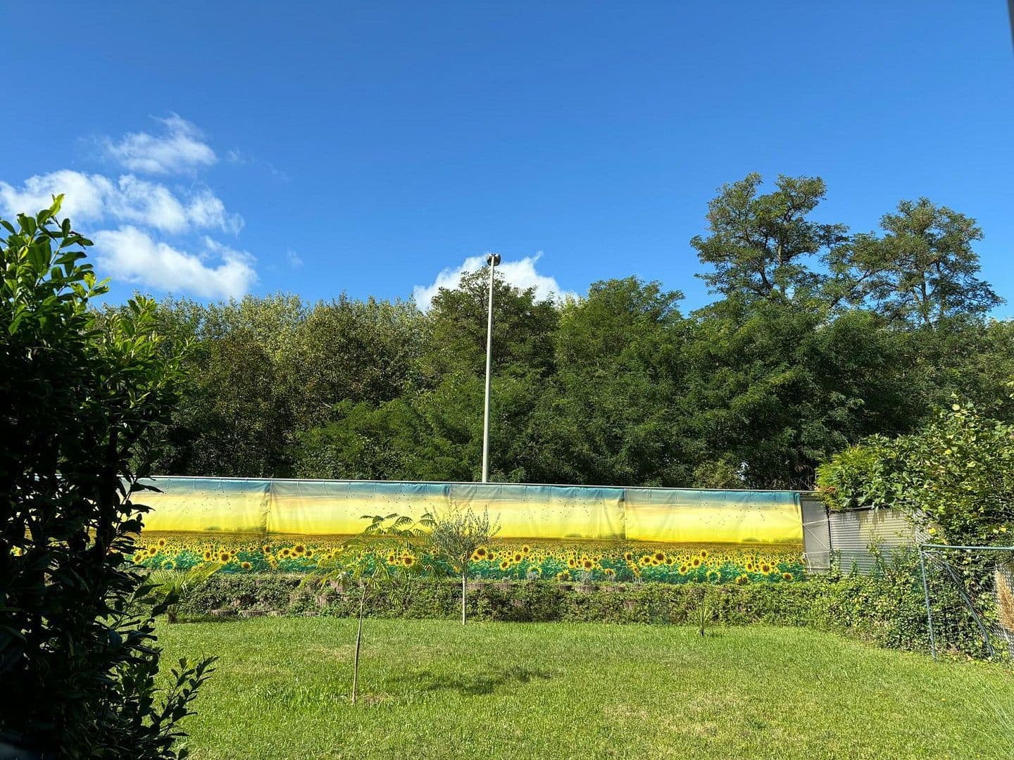 Prodej domu 142 m², pozemek 685 m², Hermann-Hesse-Straße 11, Linkenheim-Hochstetten, Bádensko-Württembersko Prodej domu 142 m², pozemek 685 m², Hermann-Hesse-Straße 11, Linkenheim-Hochstetten, Bádensko-Württembersko