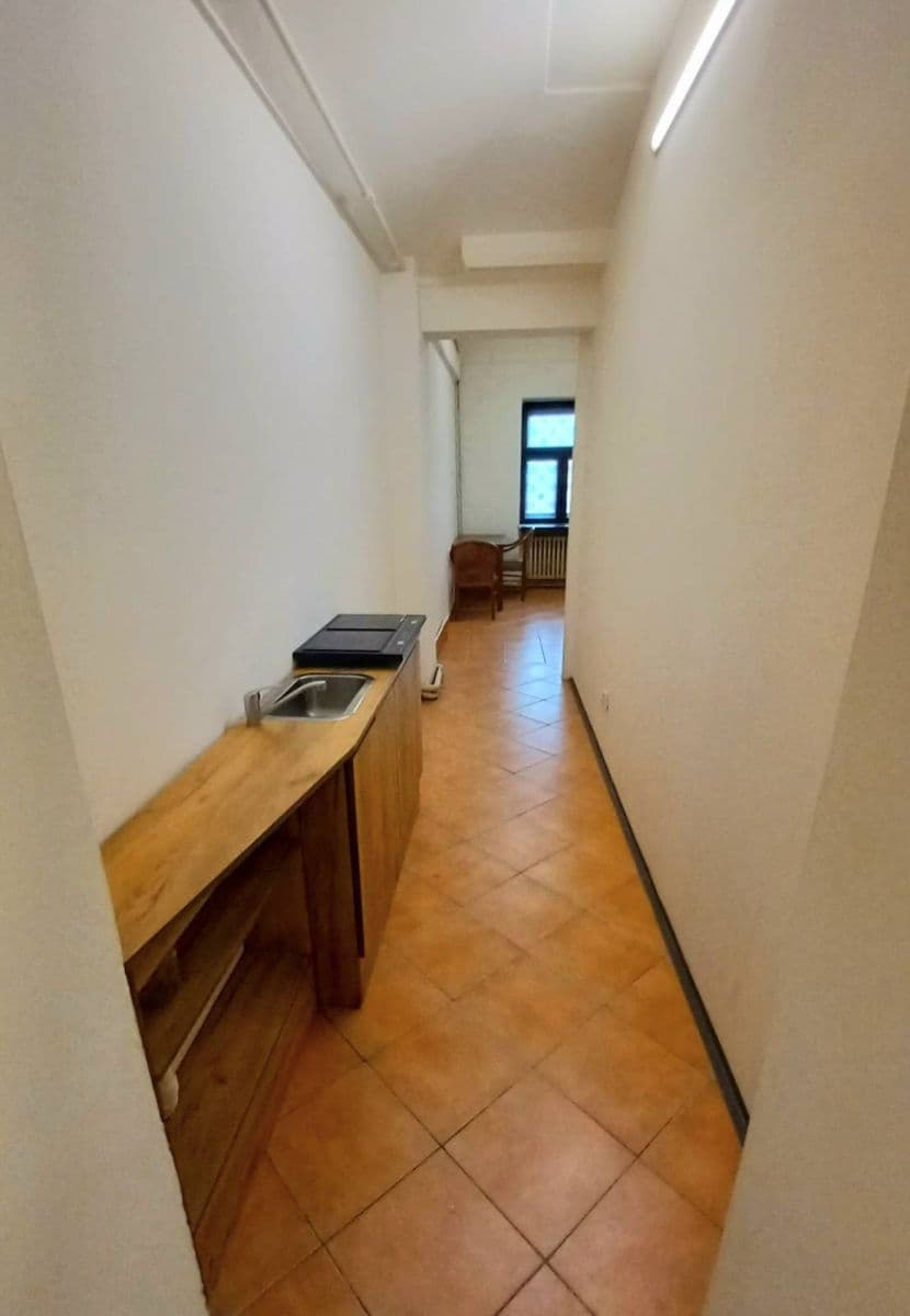 Pronájem bytu 1+kk 22 m², Bělohorská, Praha, Praha Pronájem bytu 1+kk 22 m², Bělohorská, Praha, Praha