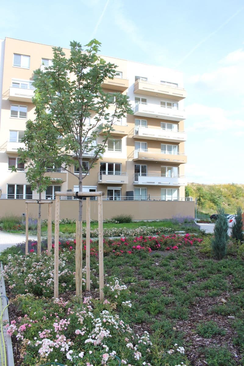 Pronájem bytu 2+kk 55 m², Mantovská, Praha, Praha Pronájem bytu 2+kk 55 m², Mantovská, Praha, Praha