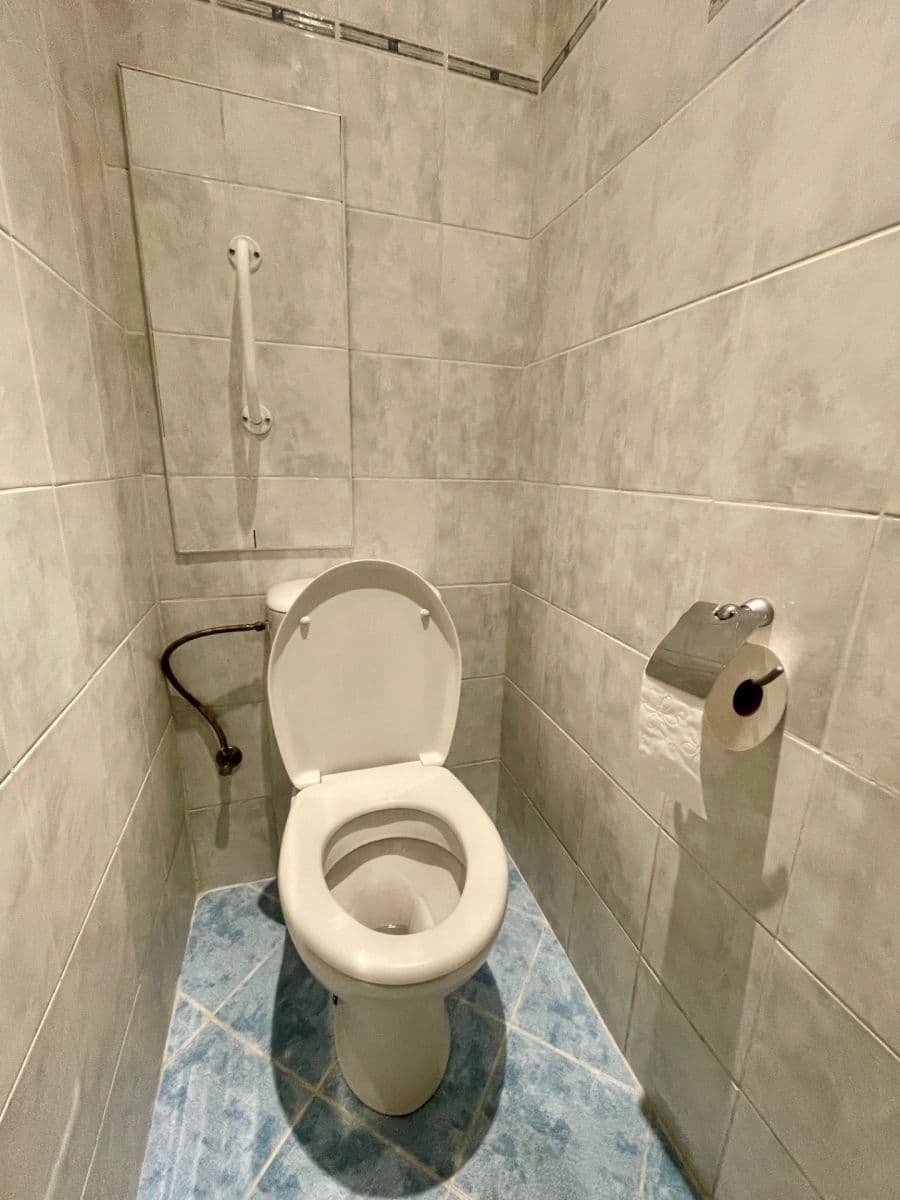 Pronájem bytu 2+1 55 m², Ovčárská, Praha, Praha Pronájem bytu 2+1 55 m², Ovčárská, Praha, Praha