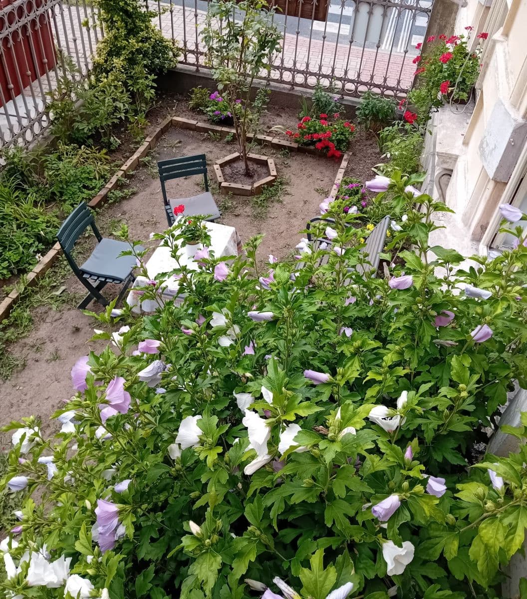 Pronájem bytu 1+1 65 m², Roháče z Dubé, Česká Lípa, Liberecký kraj Pronájem bytu 1+1 65 m², Roháče z Dubé, Česká Lípa, Liberecký kraj