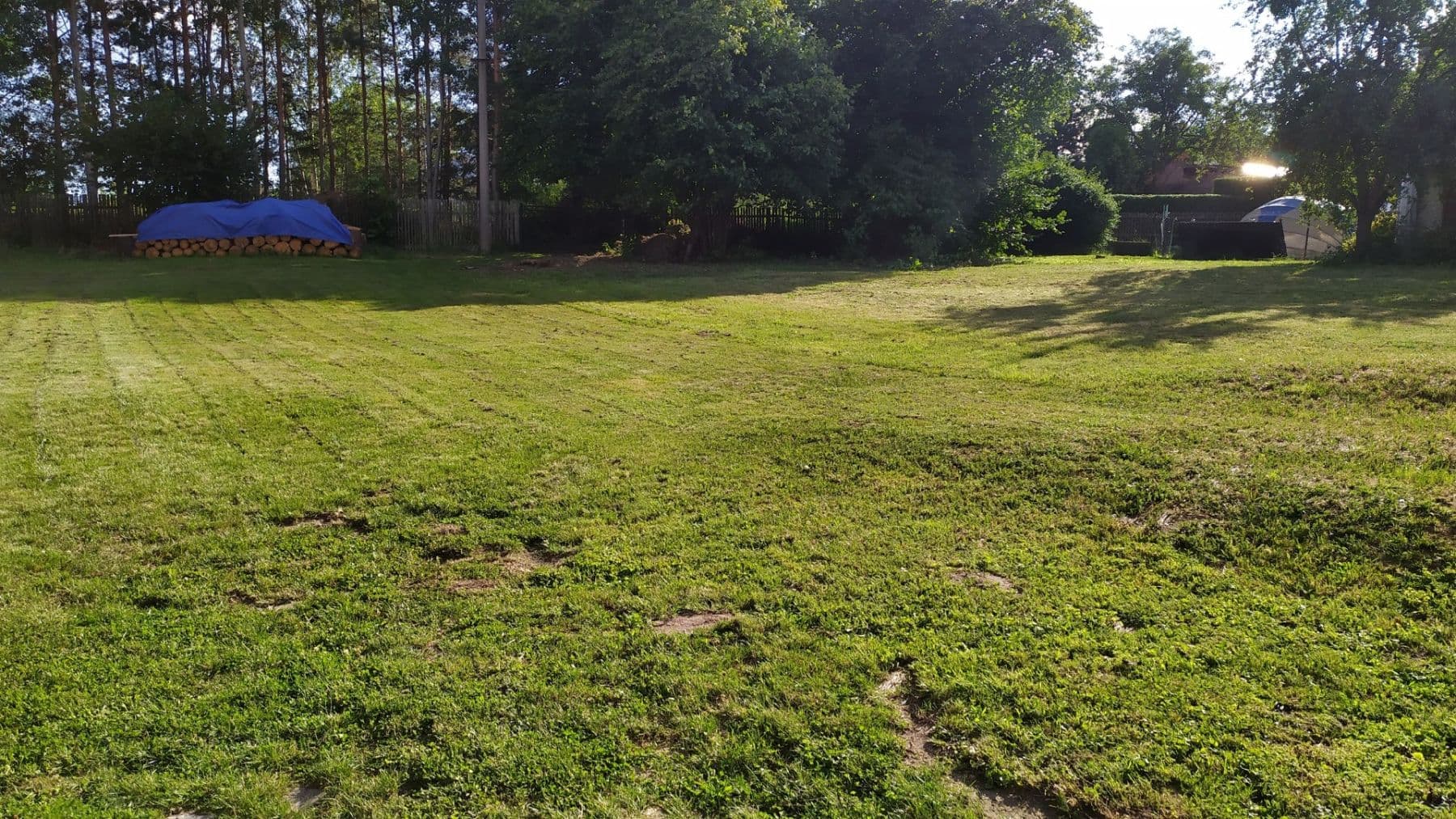 Prodej domu 100 m², pozemek 3.800 m², Sosnová, Moravskoslezský kraj Prodej domu 100 m², pozemek 3.800 m², Sosnová, Moravskoslezský kraj