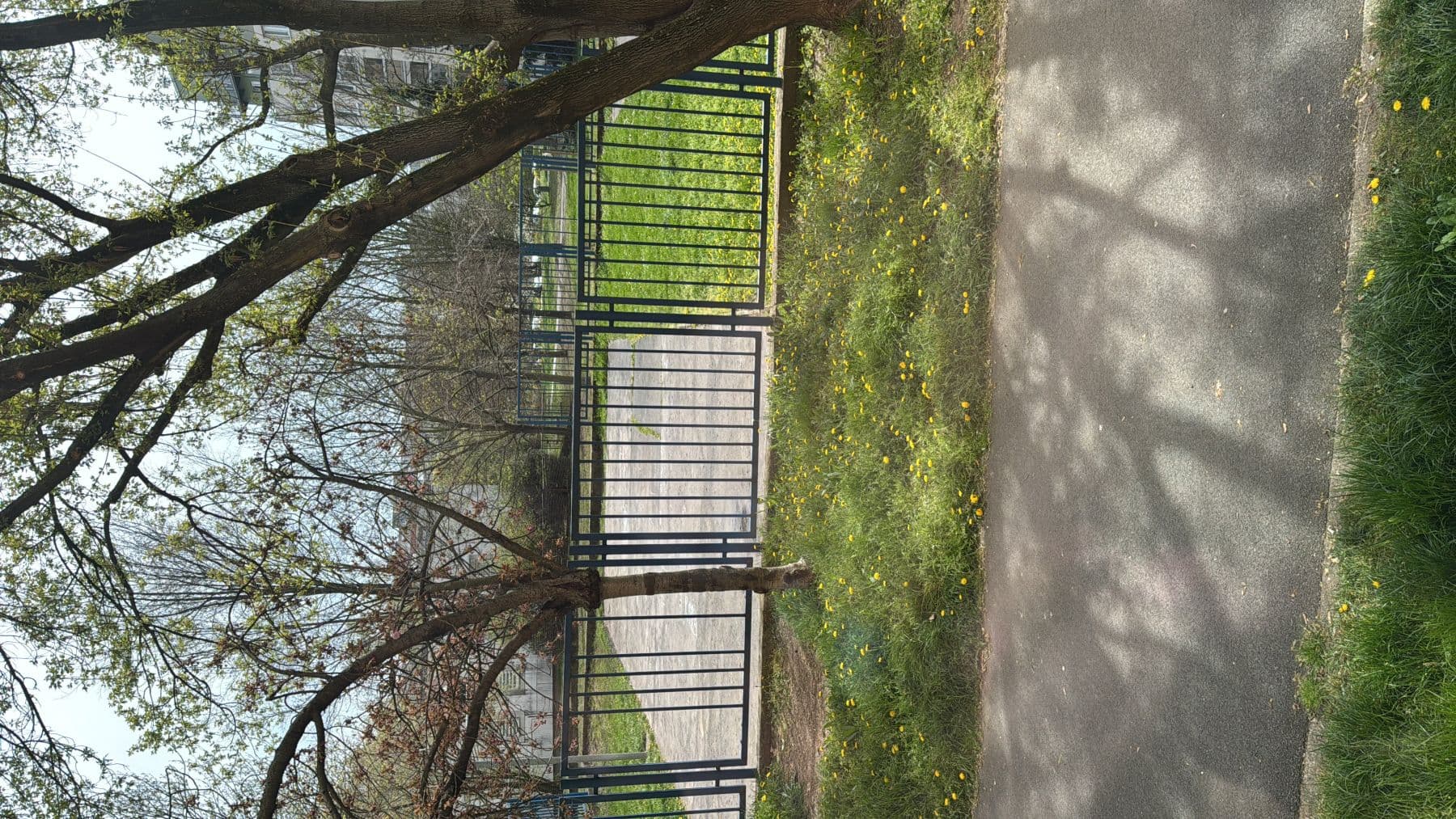 Pronájem bytu, Cíglerova, Praha, Praha Pronájem bytu, Cíglerova, Praha, Praha