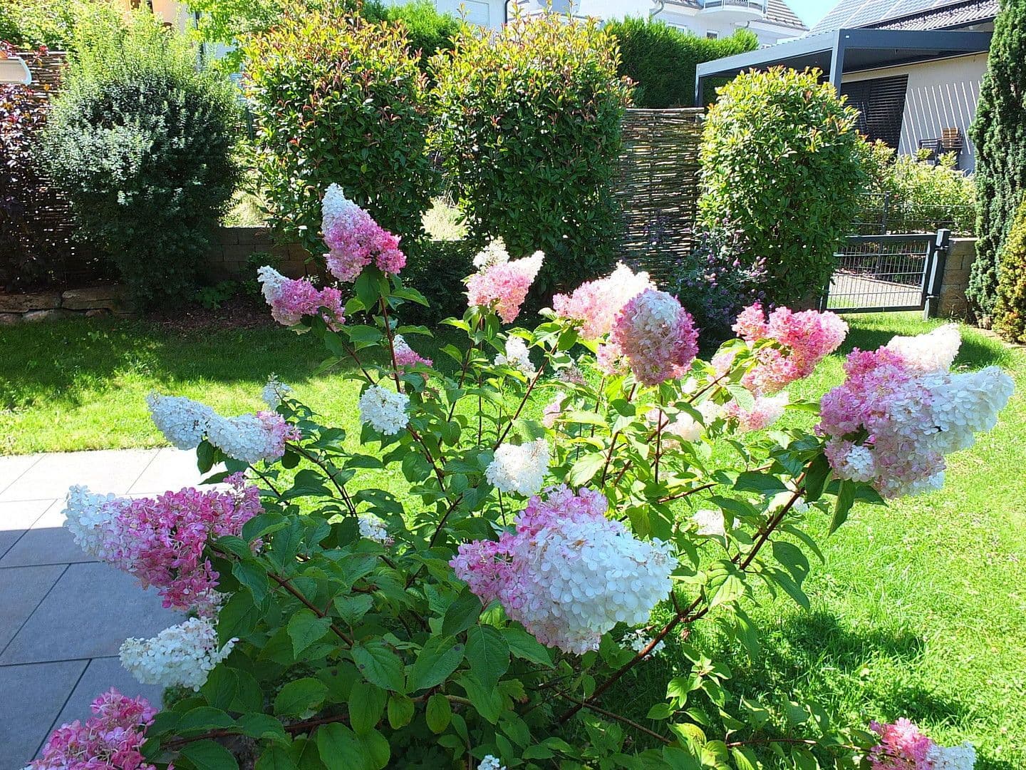 Prodej domu 177 m², pozemek 312 m², Haibach, Bavorsko Prodej domu 177 m², pozemek 312 m², Haibach, Bavorsko