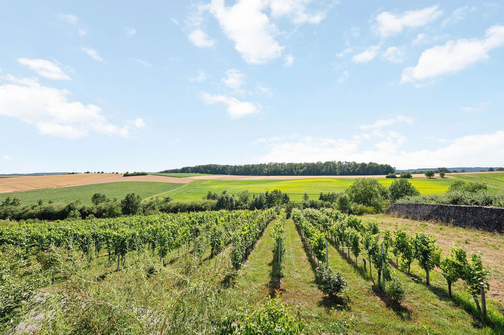 Pronájem bytu 3+kk 92 m², Gundelsheim, Bádensko-Württembersko Pronájem bytu 3+kk 92 m², Gundelsheim, Bádensko-Württembersko