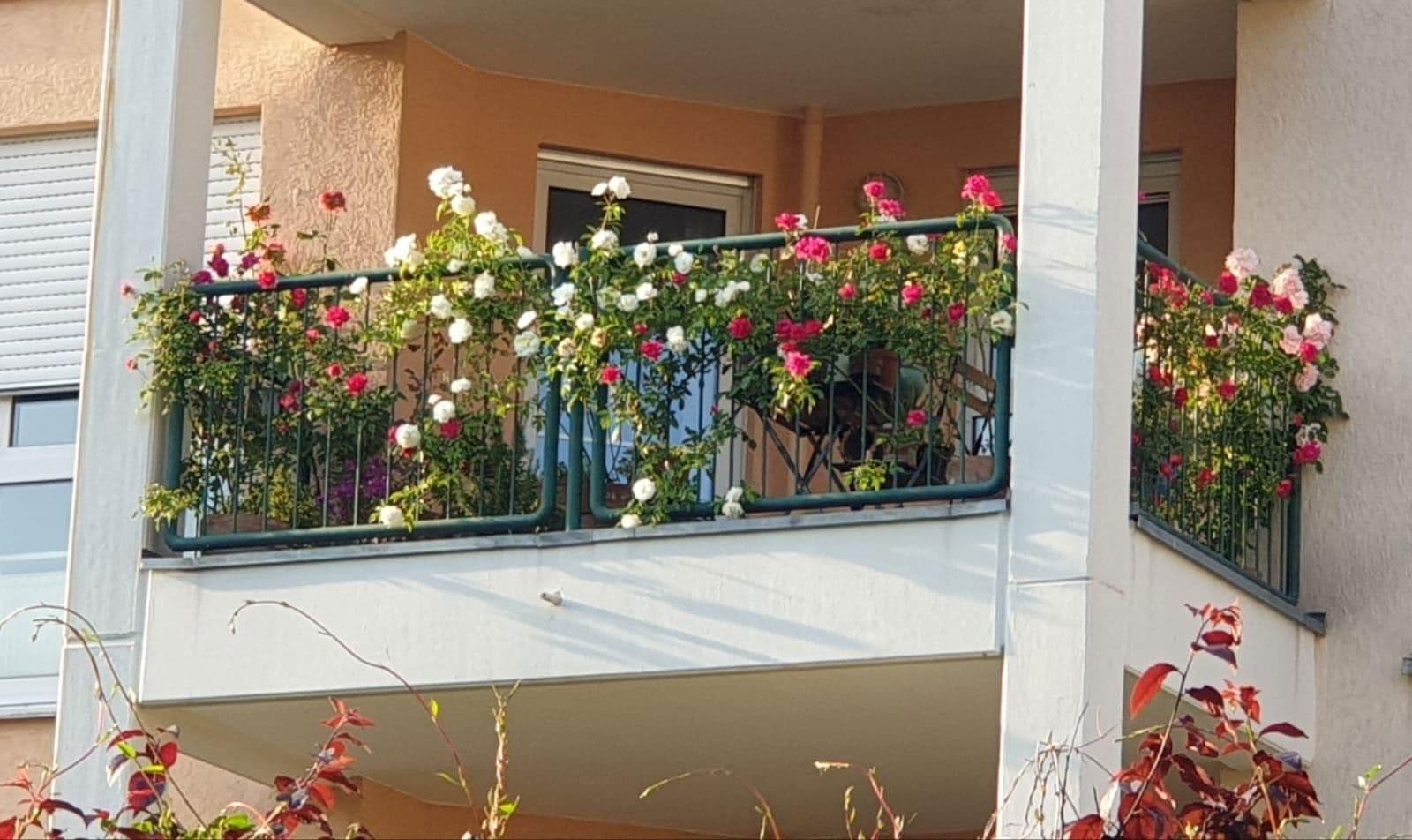 Prodej bytu 3+1 86 m², Am Carlusbaum, Bad Soden am Taunus, Hessen Prodej bytu 3+1 86 m², Am Carlusbaum, Bad Soden am Taunus, Hessen