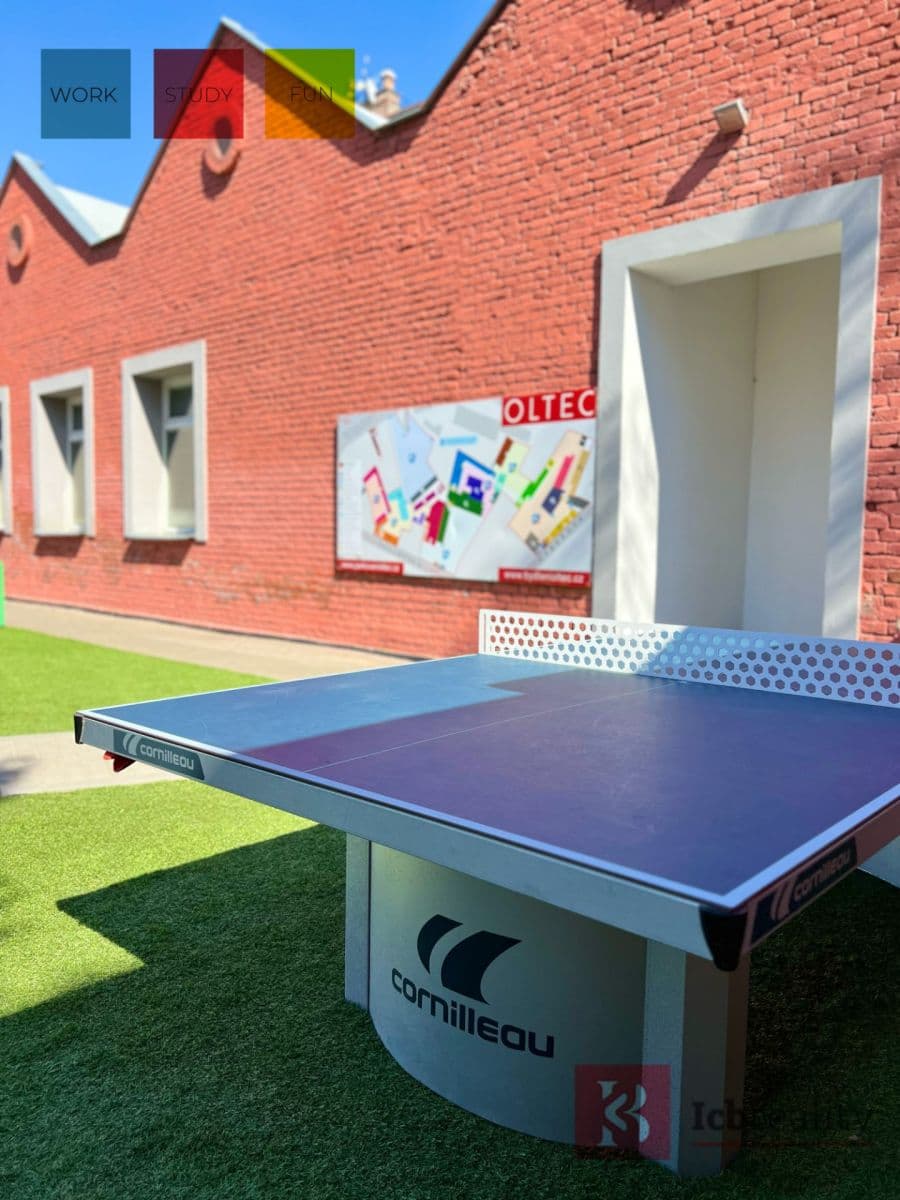 Pronájem bytu 1+kk 24 m², Václavská, Brno, Jihomoravský kraj Pronájem bytu 1+kk 24 m², Václavská, Brno, Jihomoravský kraj