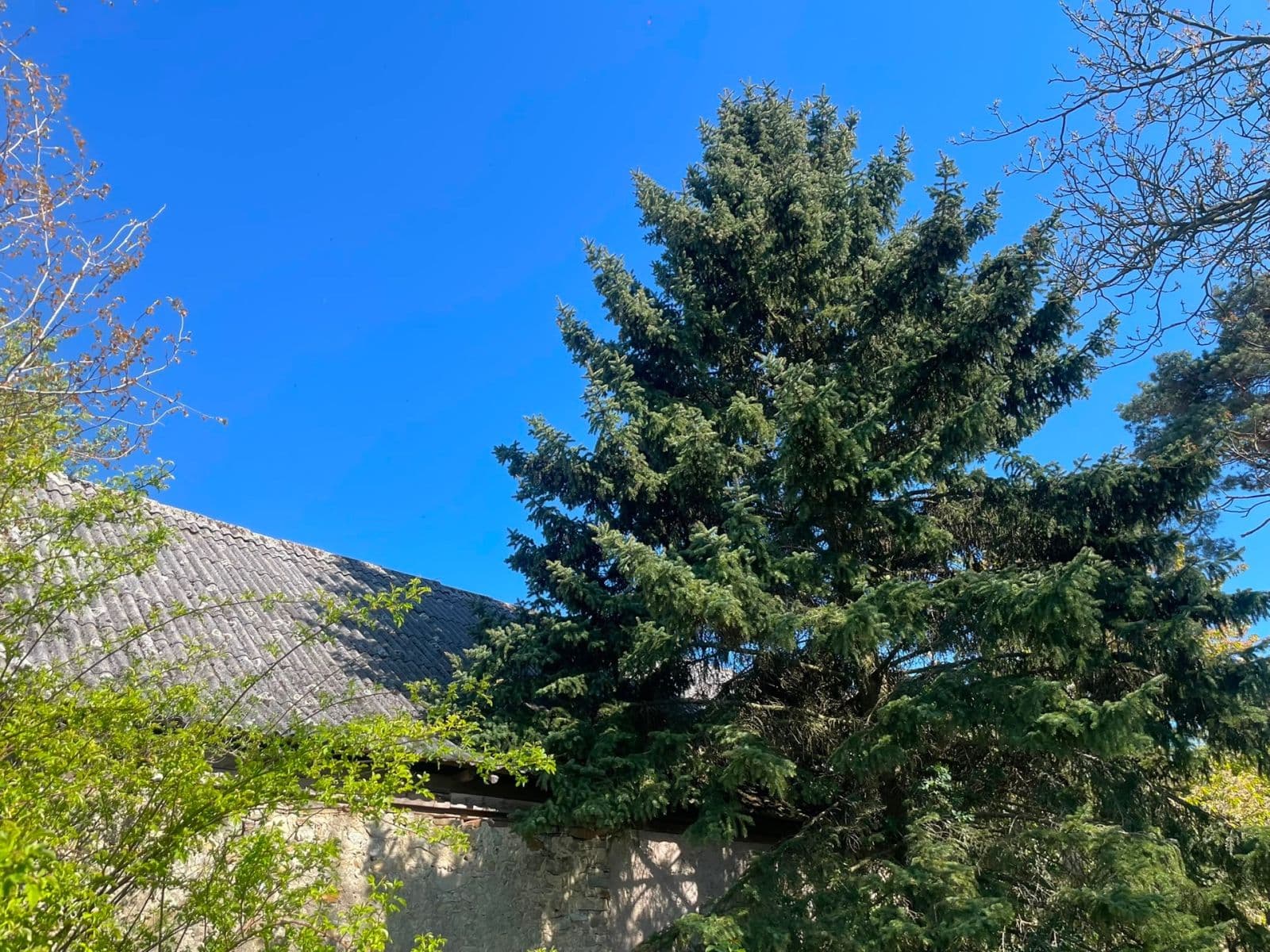 Prodej chaty, chalupy 100 m², pozemek 900 m², Staňkovice, Středočeský kraj Prodej chaty, chalupy 100 m², pozemek 900 m², Staňkovice, Středočeský kraj