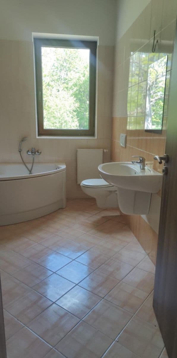 Prodej domu 347 m², pozemek 1.370 m², Nová Role, Karlovarský kraj Prodej domu 347 m², pozemek 1.370 m², Nová Role, Karlovarský kraj