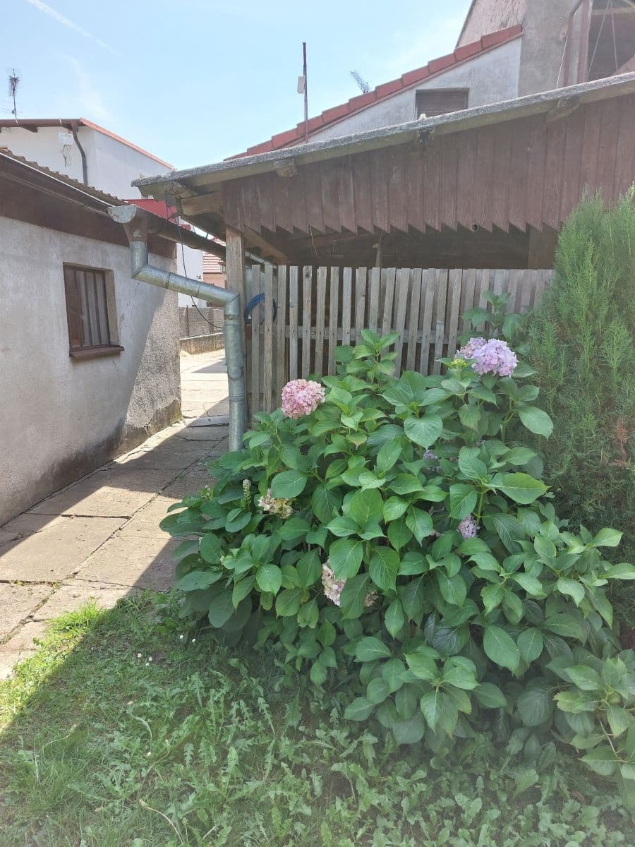 Pronájem domu 82 m², pozemek 282 m², Hálkova, Kolín, Středočeský kraj Pronájem domu 82 m², pozemek 282 m², Hálkova, Kolín, Středočeský kraj