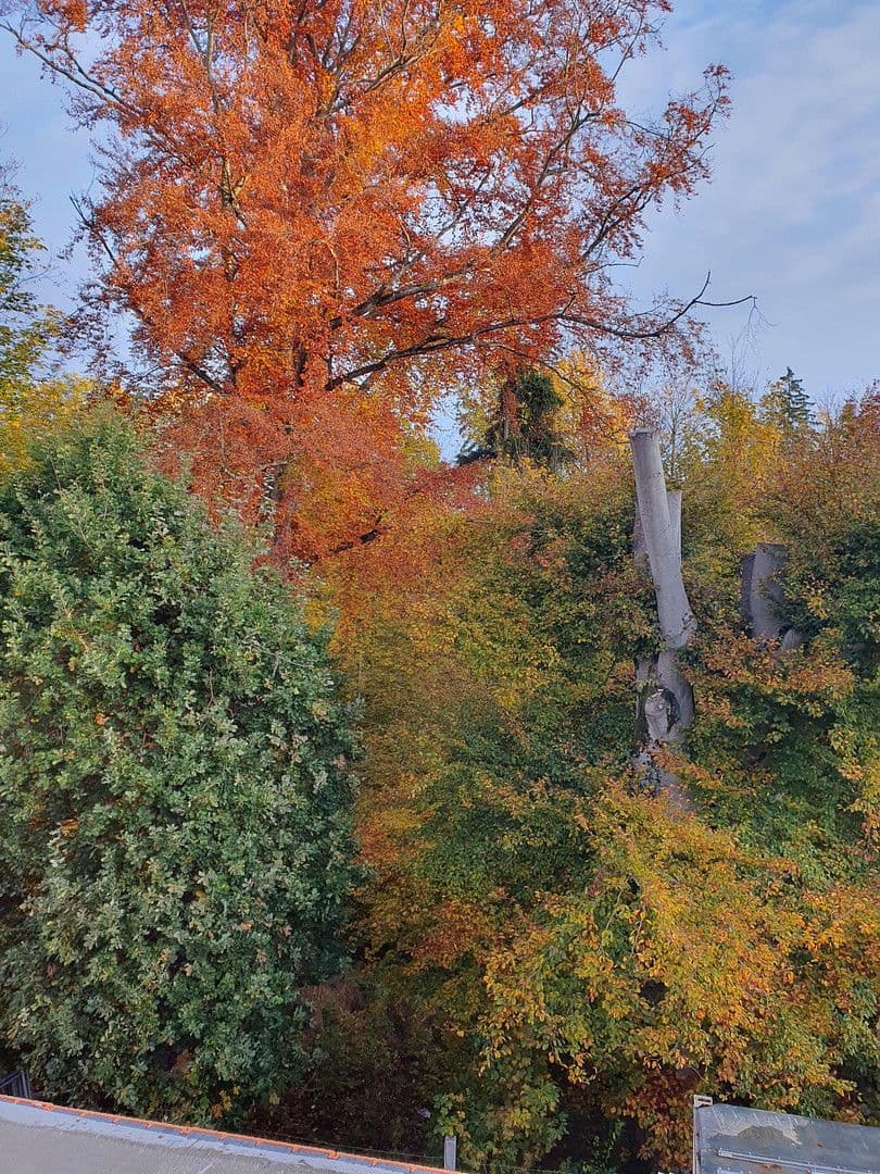 Pronájem bytu 3+1 95 m², Berg-am-Laim-Str. 60a, München, Bavorsko Pronájem bytu 3+1 95 m², Berg-am-Laim-Str. 60a, München, Bavorsko