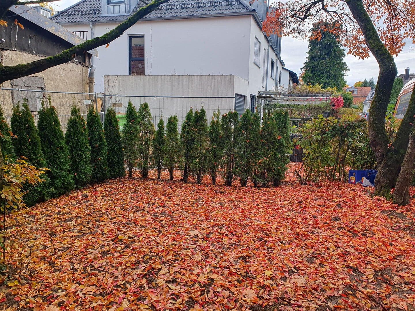 Pronájem bytu 3+1 95 m², Berg-am-Laim-Str. 60a, München, Bavorsko Pronájem bytu 3+1 95 m², Berg-am-Laim-Str. 60a, München, Bavorsko